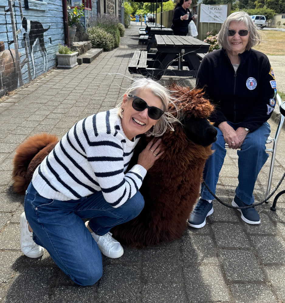 Sidepanel Image Sidepanel Image